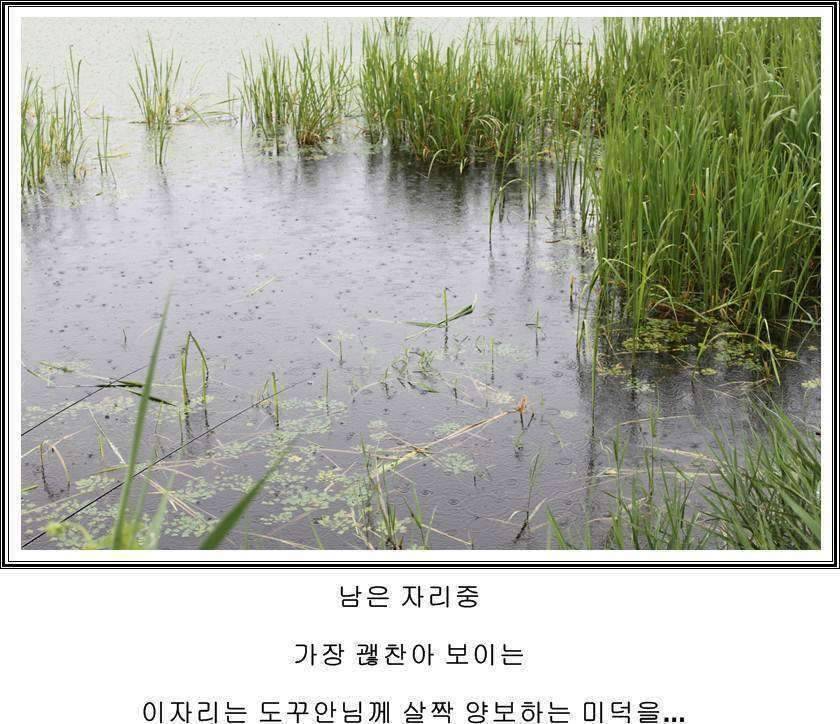 잠못자는 조행97 (조황조행기 - 화보조행기)
