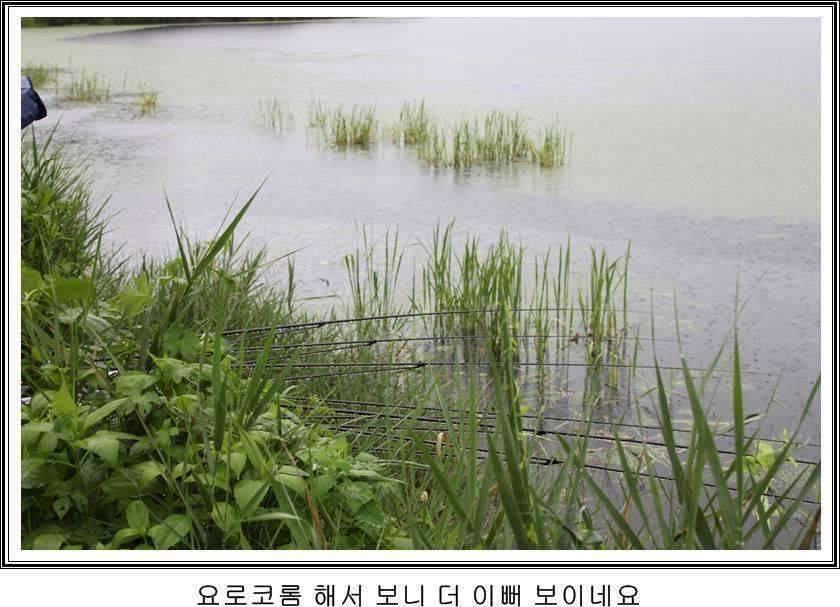 잠못자는 조행97 (조황조행기 - 화보조행기)