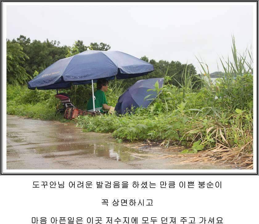 잠못자는 조행97 (조황조행기 - 화보조행기)
