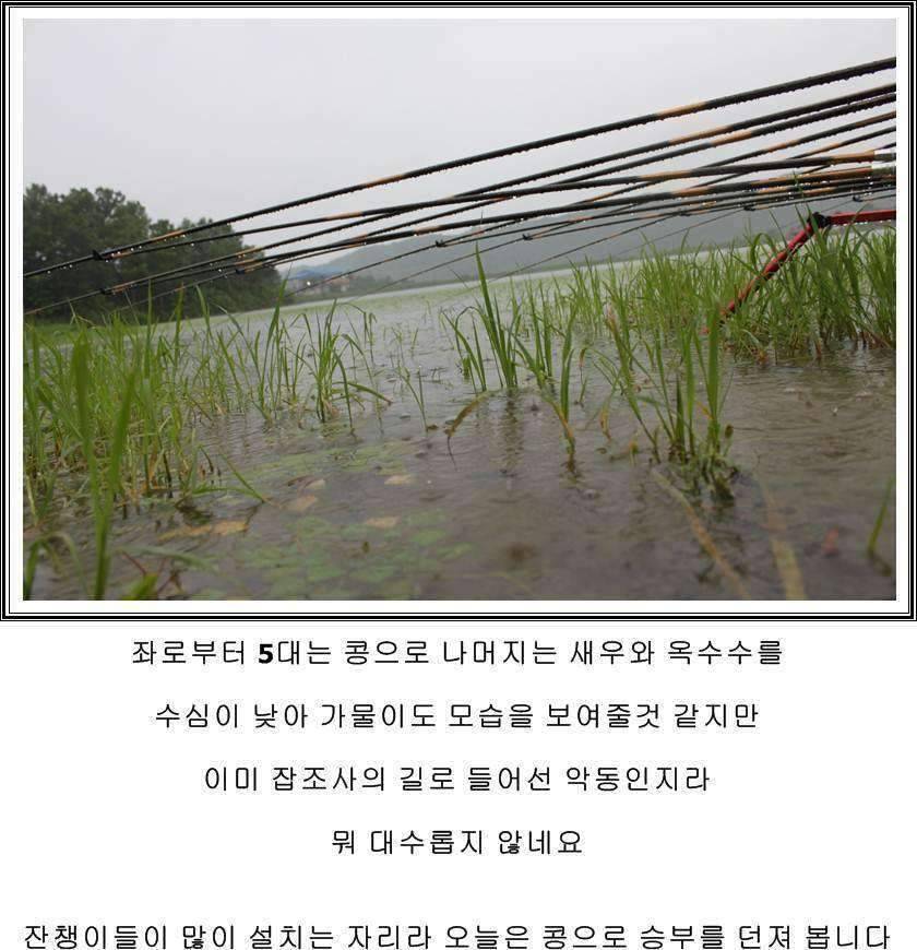 잠못자는 조행97 (조황조행기 - 화보조행기)