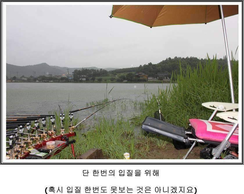 잠못자는 조행97 (조황조행기 - 화보조행기)