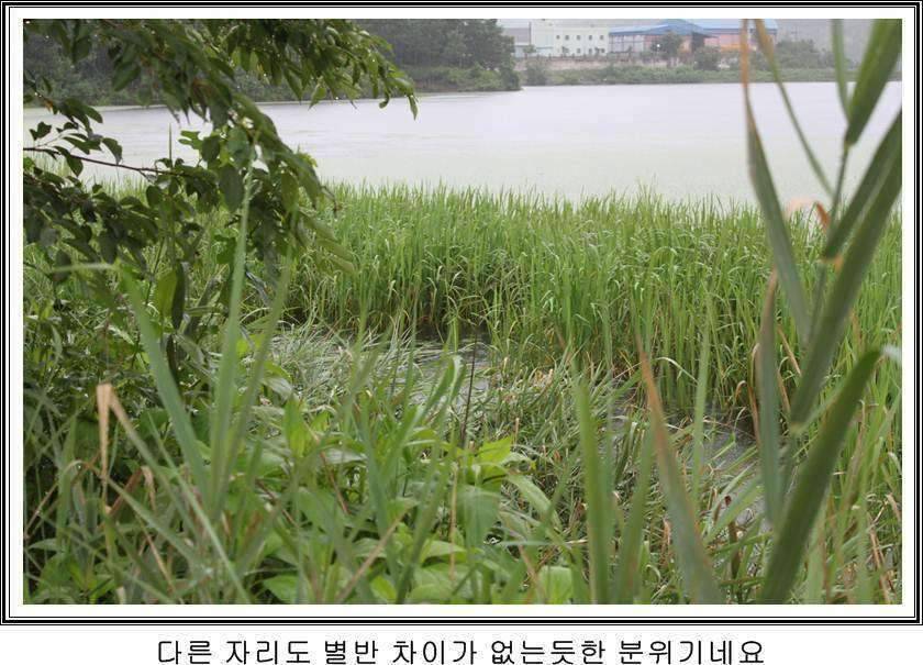 잠못자는 조행97 (조황조행기 - 화보조행기)