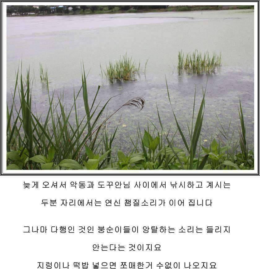 잠못자는 조행97 (조황조행기 - 화보조행기)