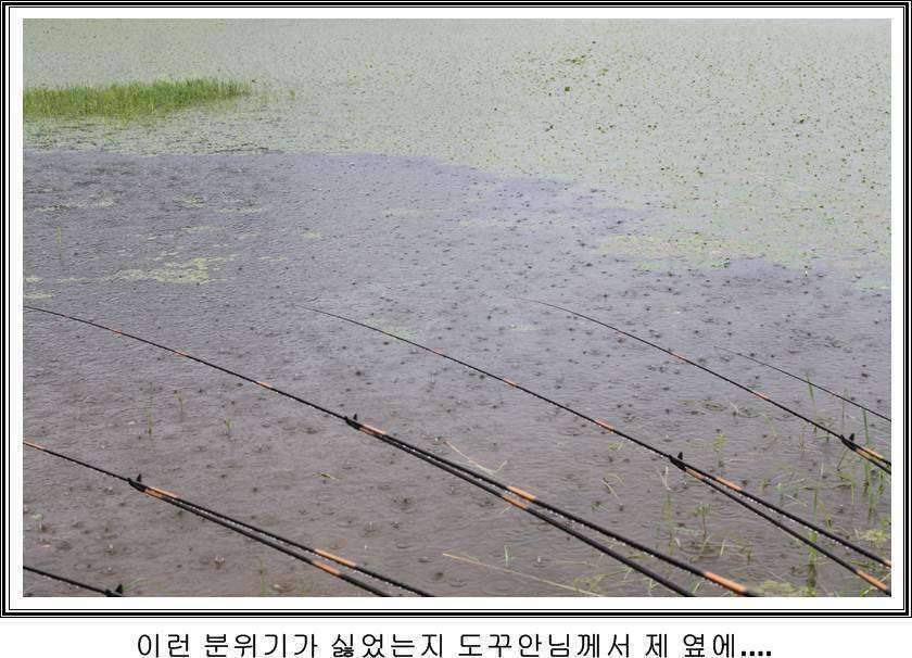 잠못자는 조행97 (조황조행기 - 화보조행기)