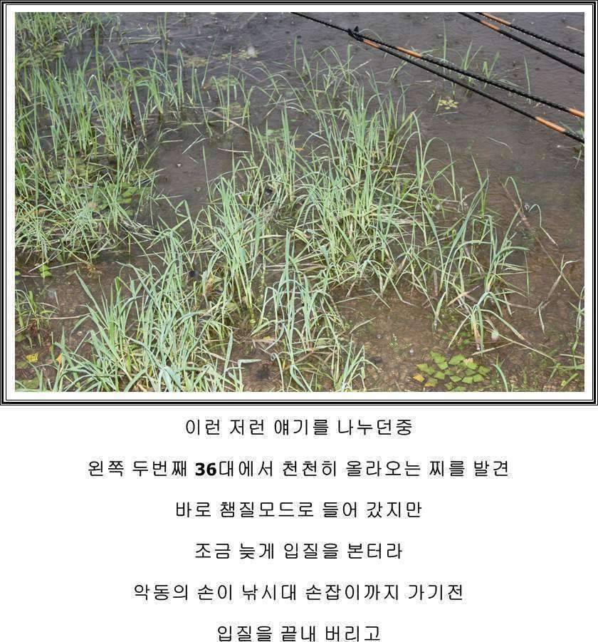 잠못자는 조행97 (조황조행기 - 화보조행기)