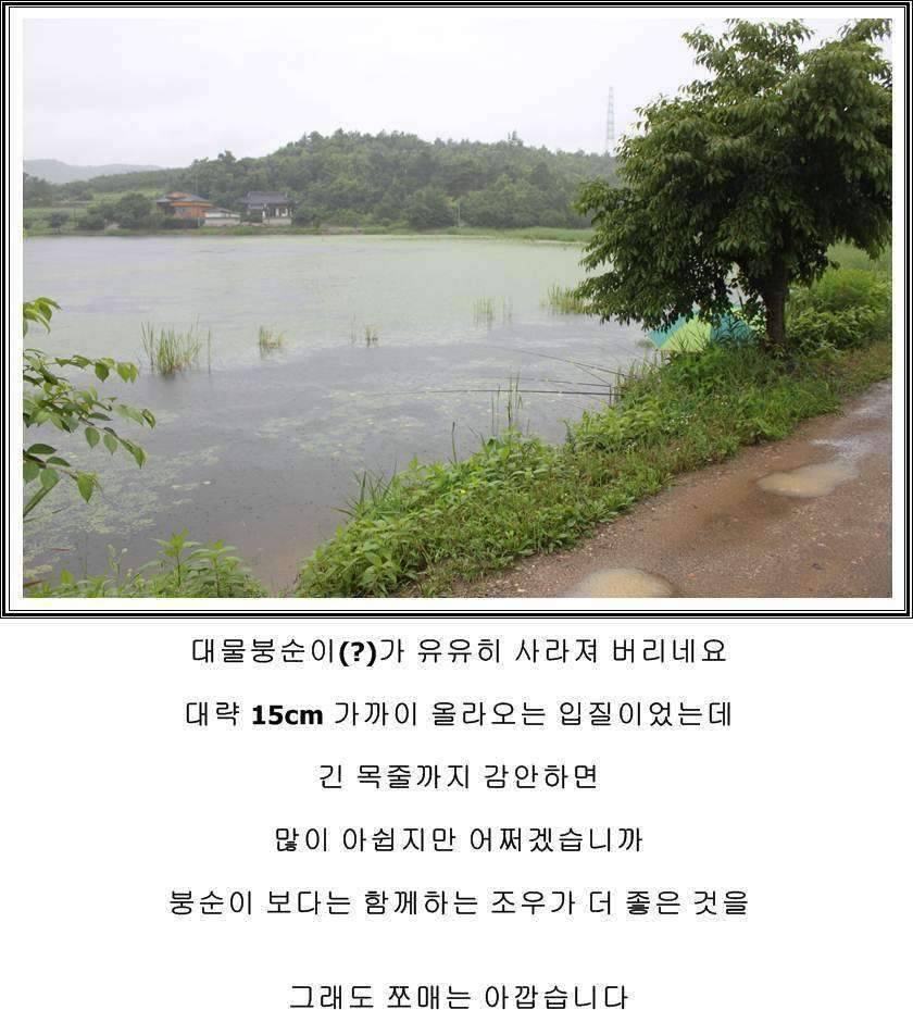 잠못자는 조행97 (조황조행기 - 화보조행기)