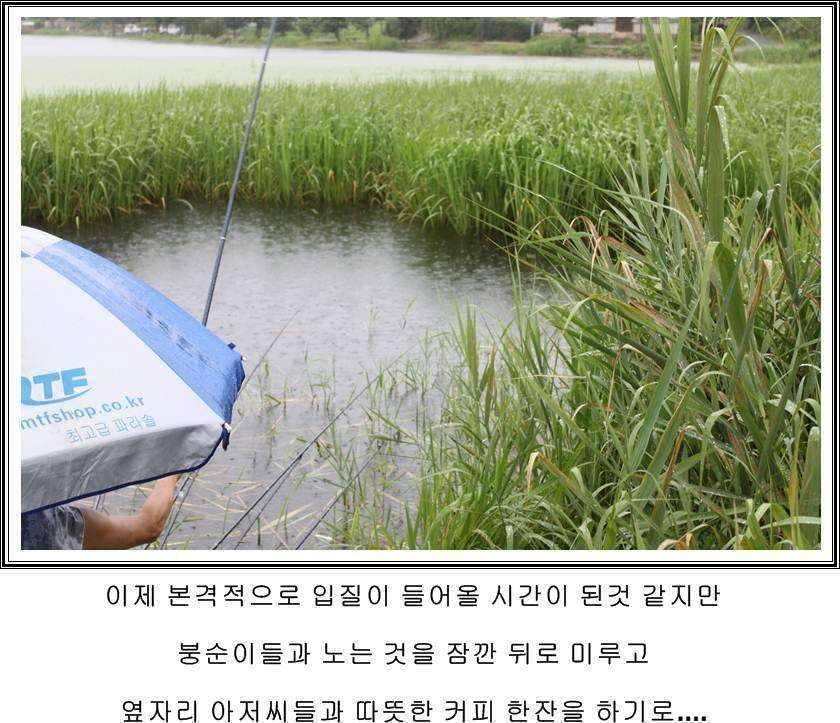 잠못자는 조행97 (조황조행기 - 화보조행기)
