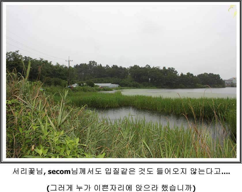 잠못자는 조행97 (조황조행기 - 화보조행기)