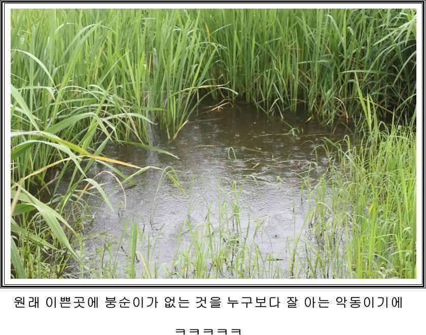 잠못자는 조행97 (조황조행기 - 화보조행기)