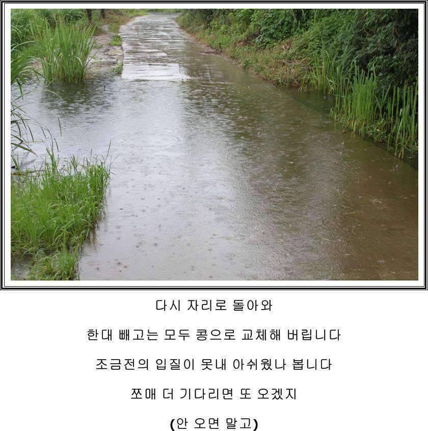 잠못자는 조행97 (조황조행기 - 화보조행기)