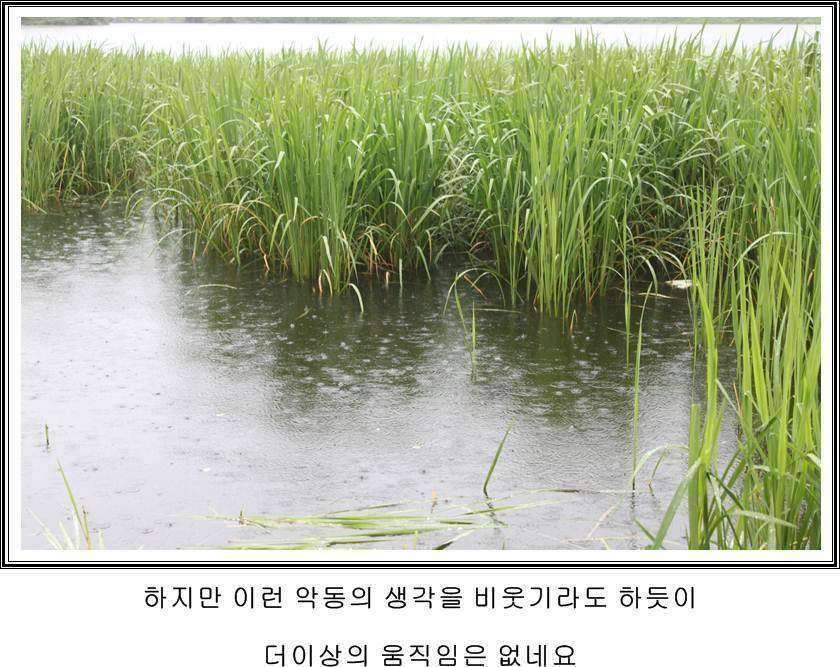 잠못자는 조행97 (조황조행기 - 화보조행기)