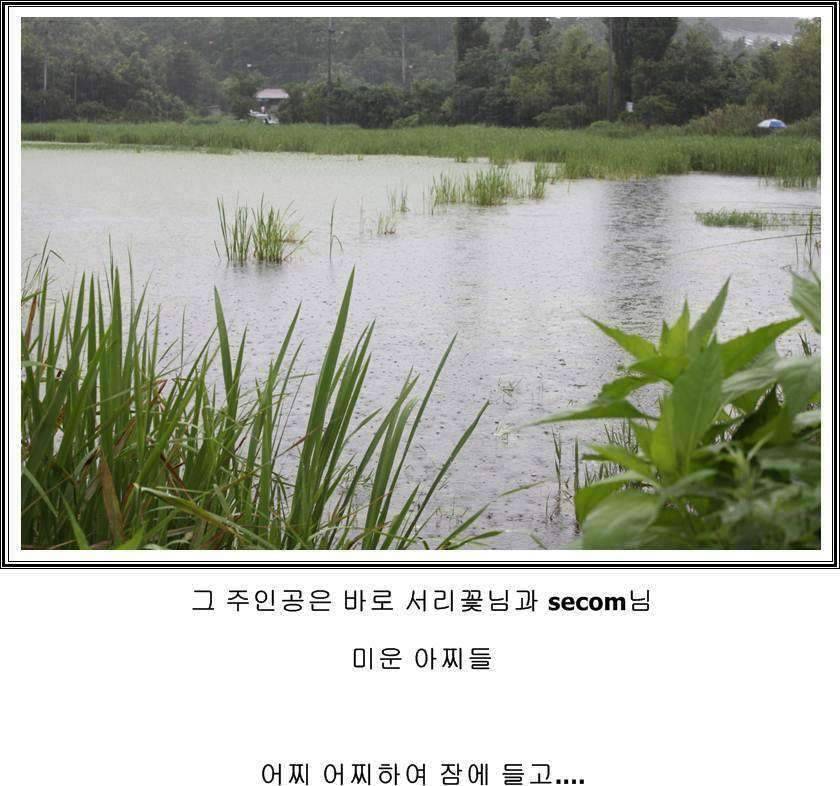 잠못자는 조행97 (조황조행기 - 화보조행기)