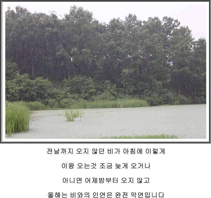 잠못자는 조행97 (조황조행기 - 화보조행기)