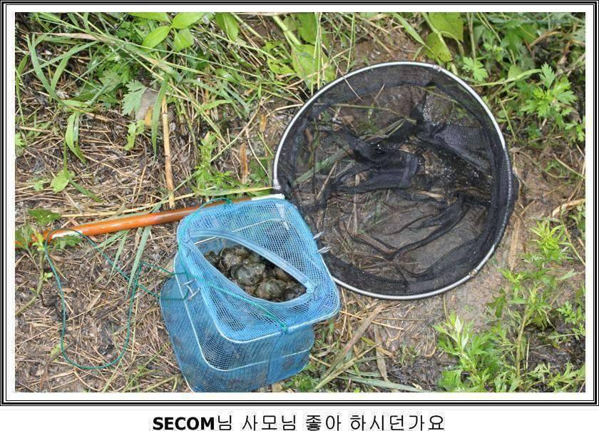 잠못자는 조행97 (조황조행기 - 화보조행기)