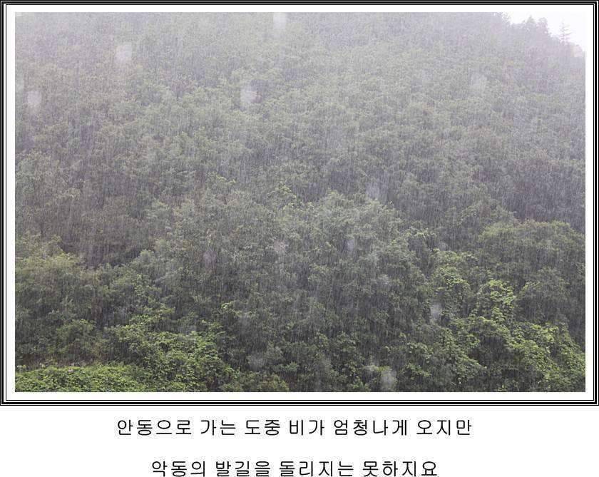 잠못자는 조행97 (조황조행기 - 화보조행기)