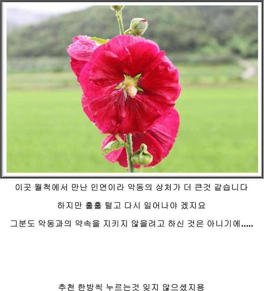 잠못자는 조행97 (조황조행기 - 화보조행기)