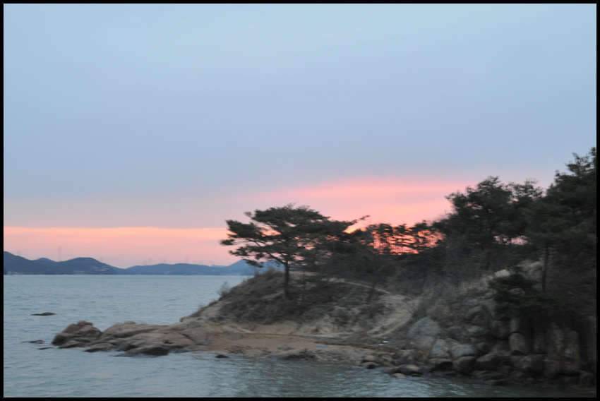짬 낚시꾼의 일탈 9 (조황조행기 - 화보조행기)