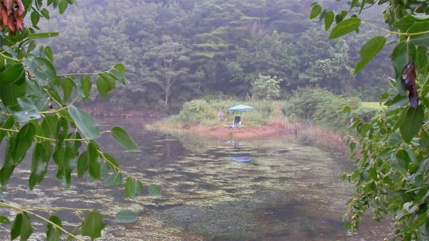 좋은 사람과 그림같은 저수지로의 동행 (조황조행기 - 화보조행기)
