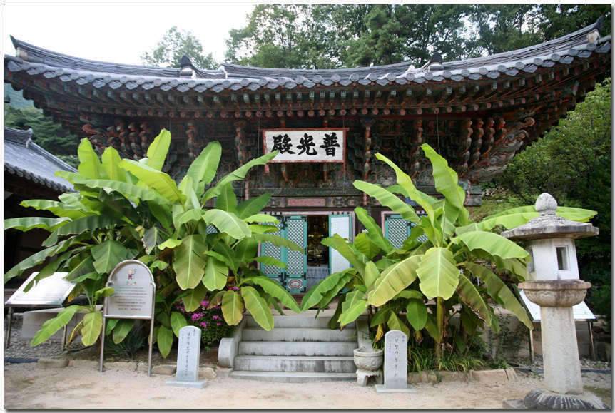 상주소류지여행 여덟번째 그리고 남장사 (조황조행기 - 화보조행기)