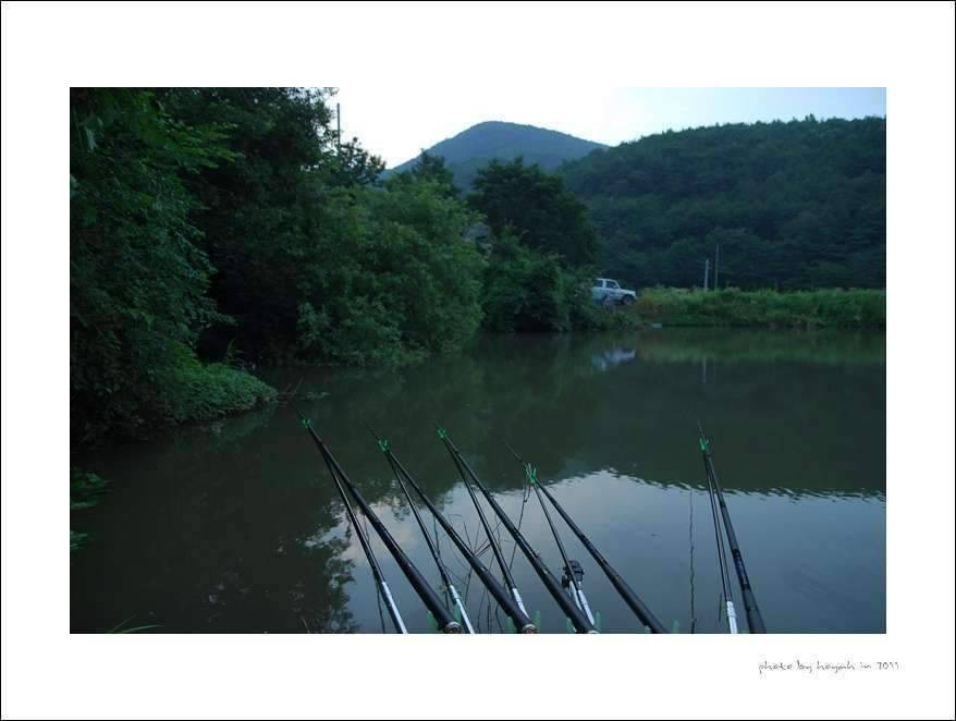 장독속붕어의 붕어낚시청도소류지 (조황조행기 - 화보조행기)