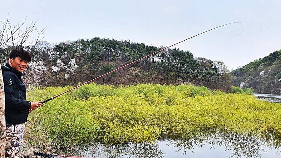 경북상주권 (조황조행기 - 화보조행기)
