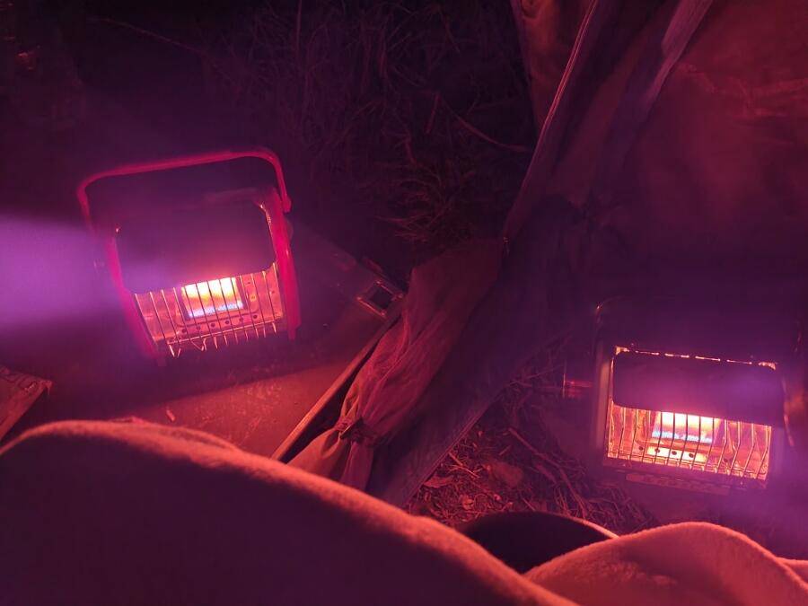 까멜리아의 첫 번째 조행기 입니다 (조황조행기 - 화보조행기)