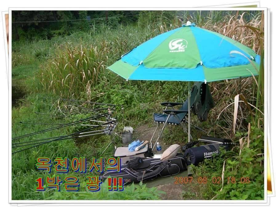 황금 붕어를 만나다 옥천 ☞ 예천 (조황조행기 - 화보조행기)