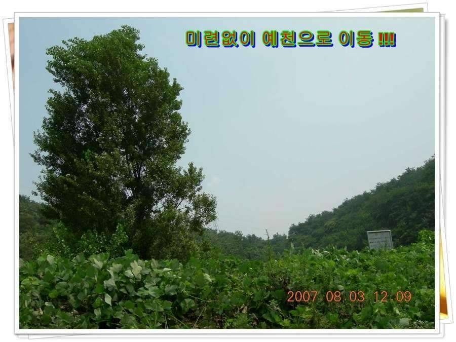 황금 붕어를 만나다 옥천 ☞ 예천 (조황조행기 - 화보조행기)