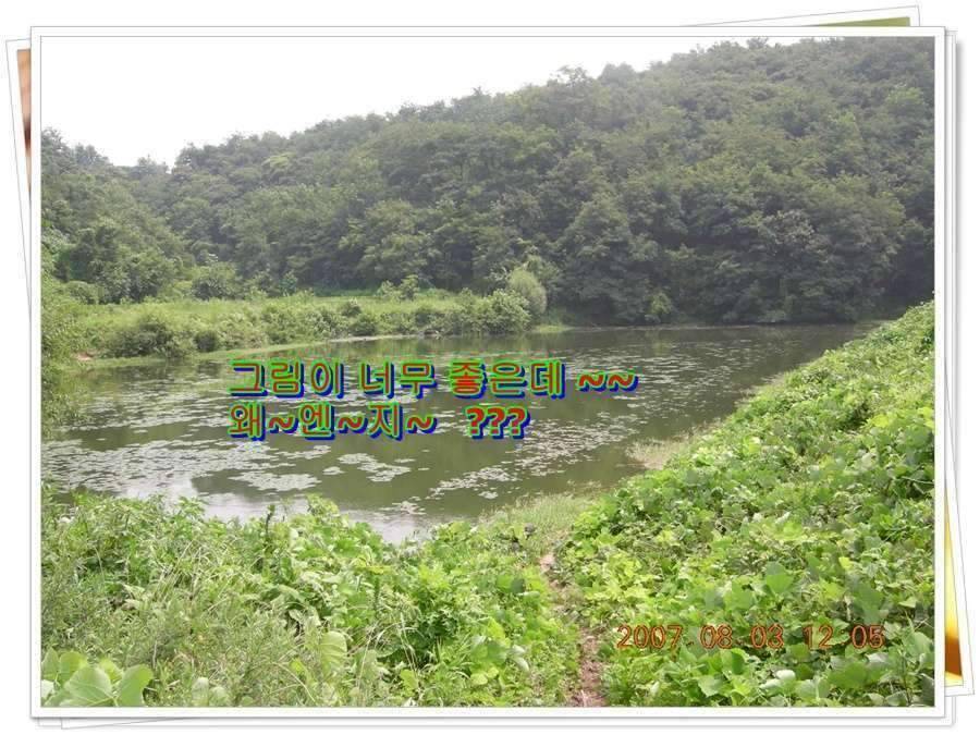 황금 붕어를 만나다 옥천 ☞ 예천 (조황조행기 - 화보조행기)