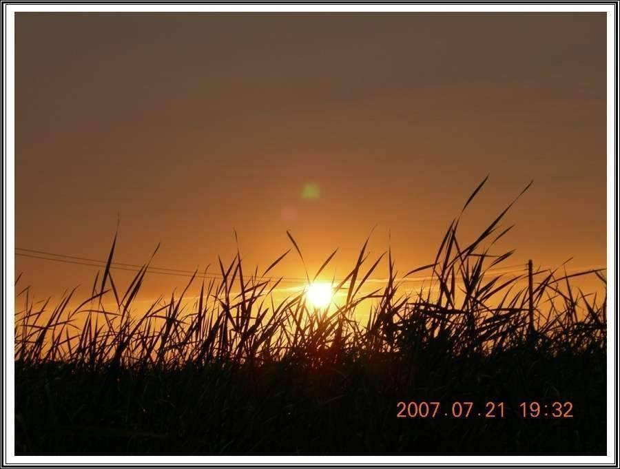 경기도 안성 소류지 (조황조행기 - 화보조행기)