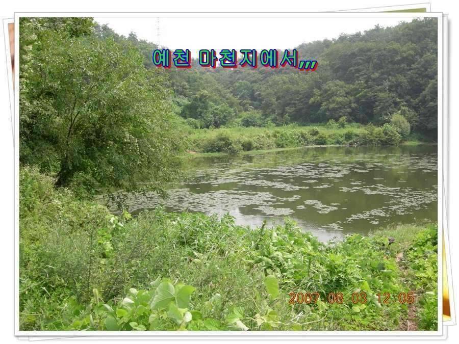 황금 붕어를 만나다 옥천 ☞ 예천 (조황조행기 - 화보조행기)
