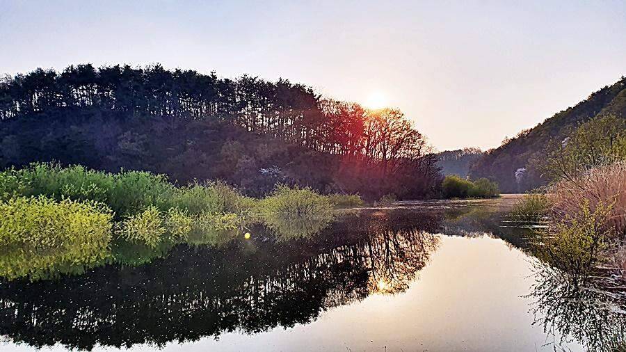 경북상주권 (조황조행기 - 화보조행기)