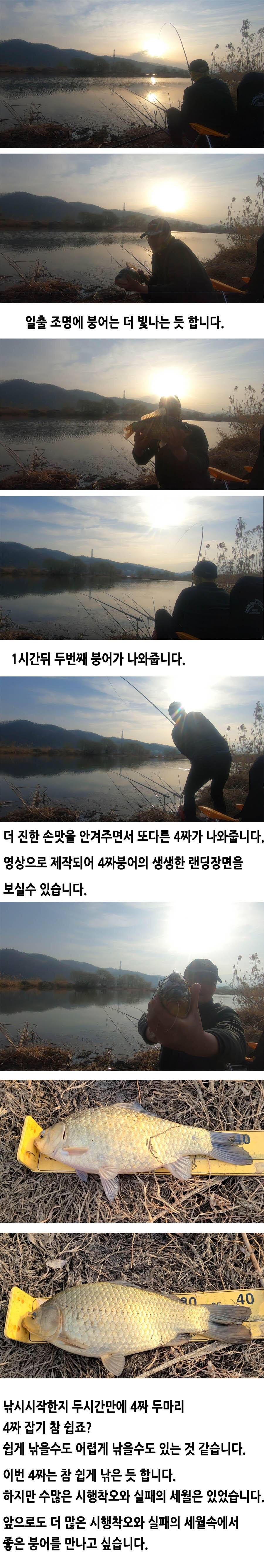 4짜 잡기 참 쉽다 (조황조행기 - 화보조행기)
