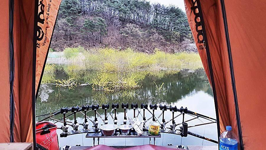 경북상주권 (조황조행기 - 화보조행기)