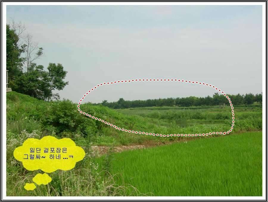 경기도 안성 소류지 (조황조행기 - 화보조행기)