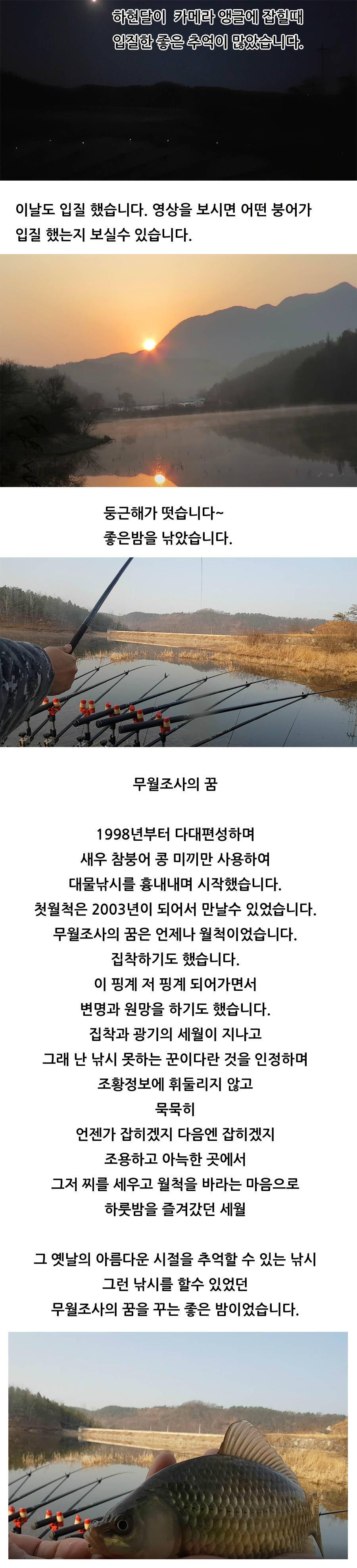 옥내림불가 수초지대 붕어낚시 미끼활용법 (조황조행기 - 화보조행기)