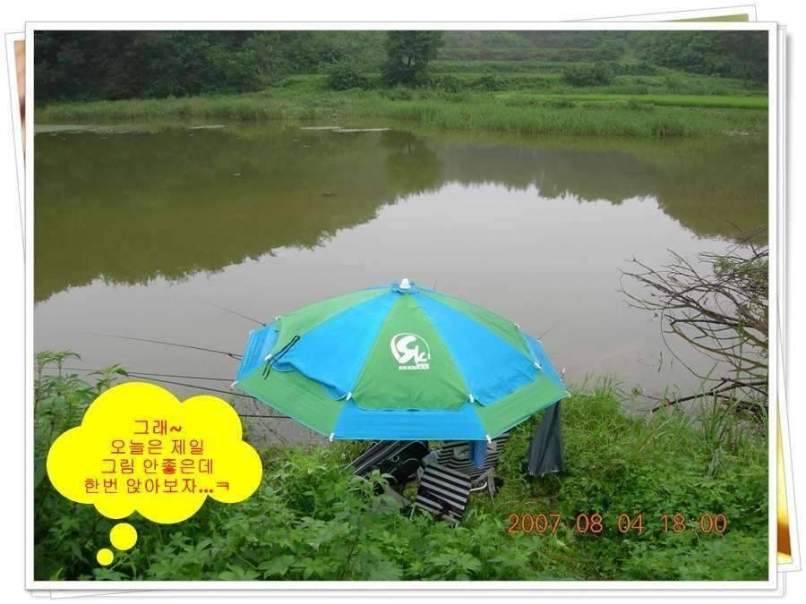황금 붕어를 만나다 옥천 ☞ 예천 (조황조행기 - 화보조행기)