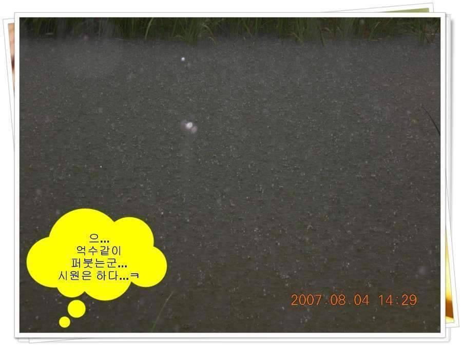 황금 붕어를 만나다 옥천 ☞ 예천 (조황조행기 - 화보조행기)