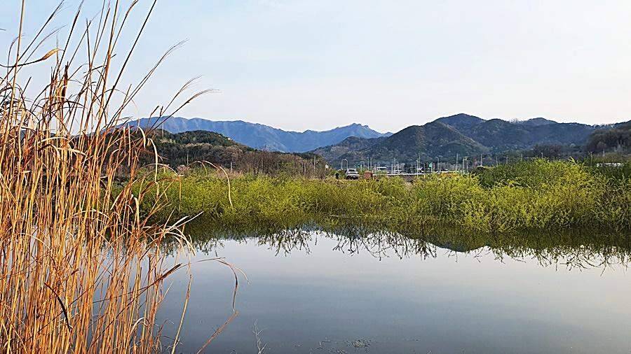 경북상주권 (조황조행기 - 화보조행기)