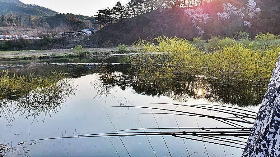 경북상주권 (조황조행기 - 화보조행기)