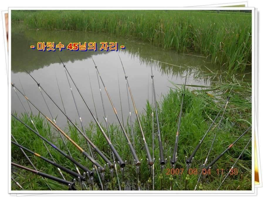 황금 붕어를 만나다 옥천 ☞ 예천 (조황조행기 - 화보조행기)