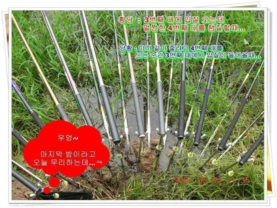 황금 붕어를 만나다 옥천 ☞ 예천 (조황조행기 - 화보조행기)