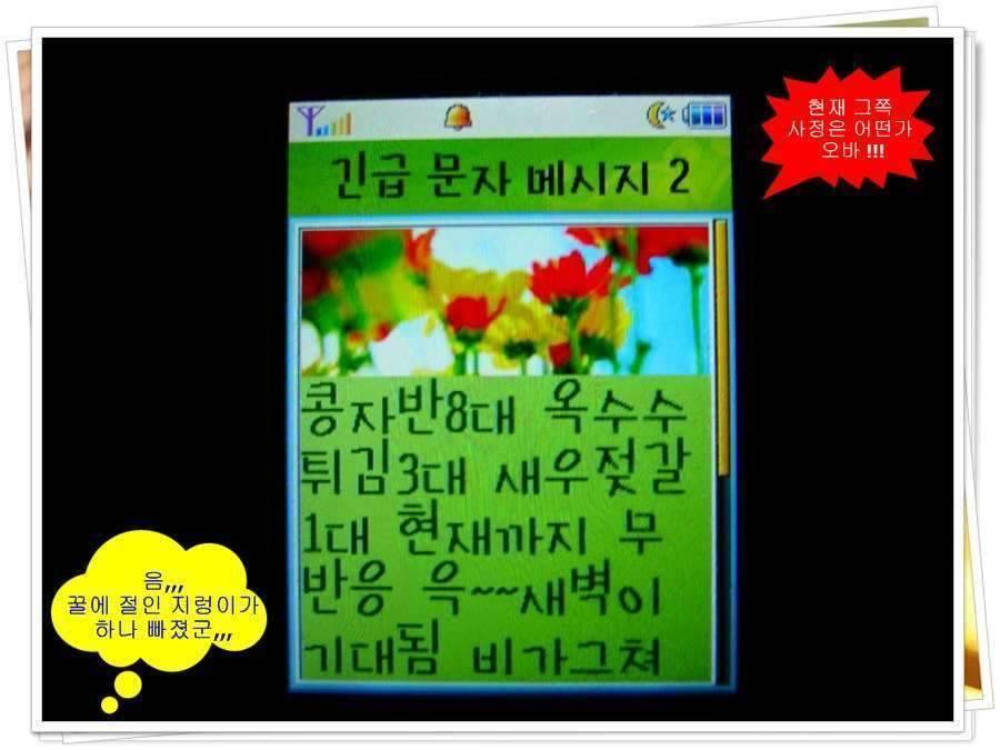 황금 붕어를 만나다 옥천 ☞ 예천 (조황조행기 - 화보조행기)