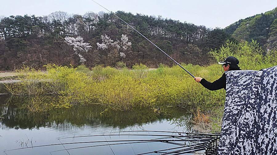 경북상주권 (조황조행기 - 화보조행기)