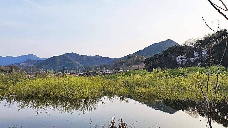 경북상주권 (조황조행기 - 화보조행기)