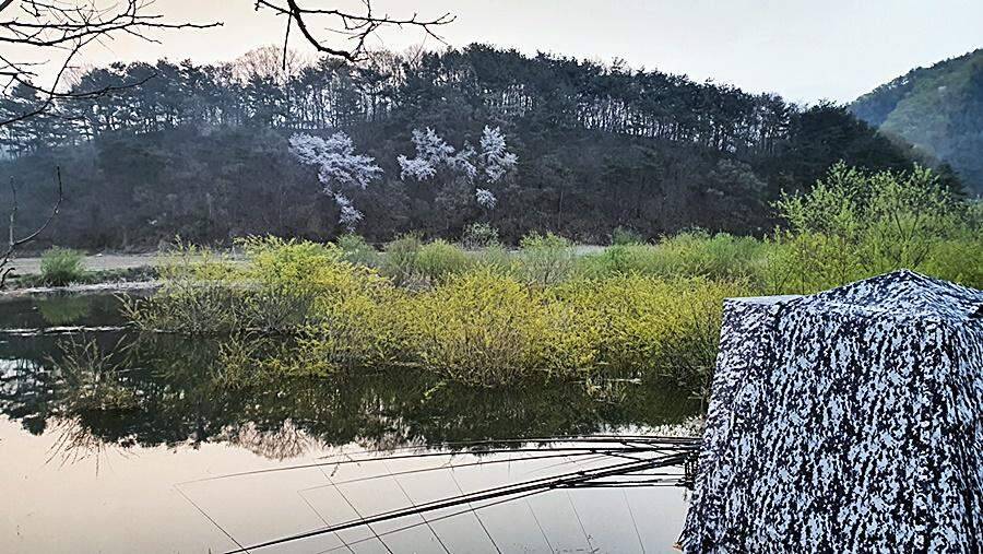 경북상주권 (조황조행기 - 화보조행기)