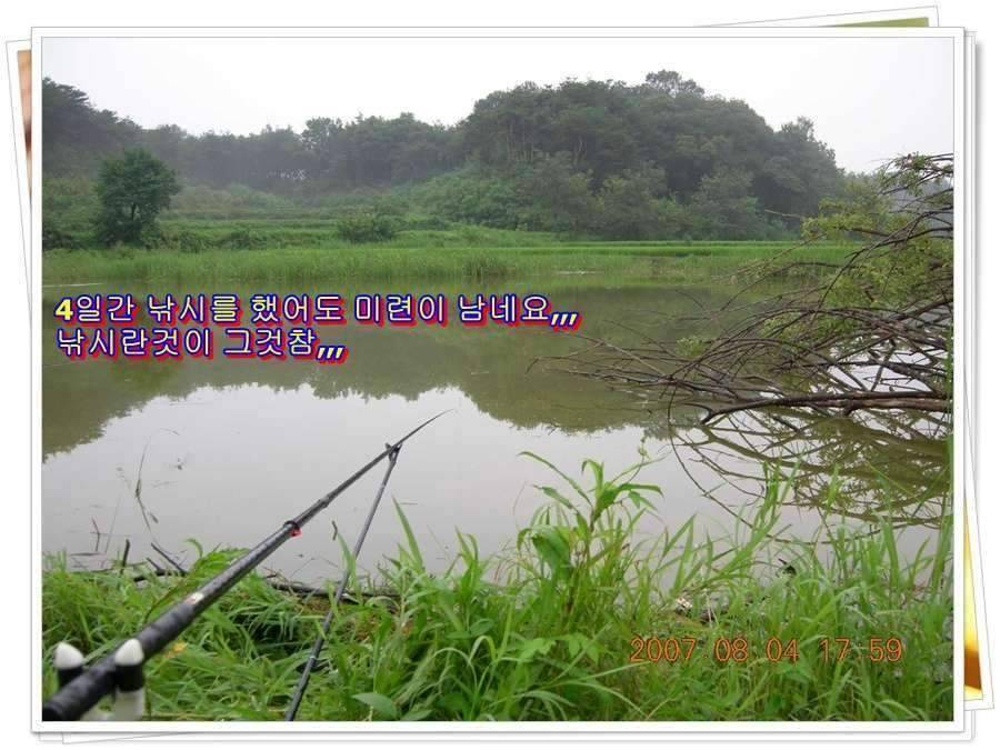 황금 붕어를 만나다 옥천 ☞ 예천 (조황조행기 - 화보조행기)