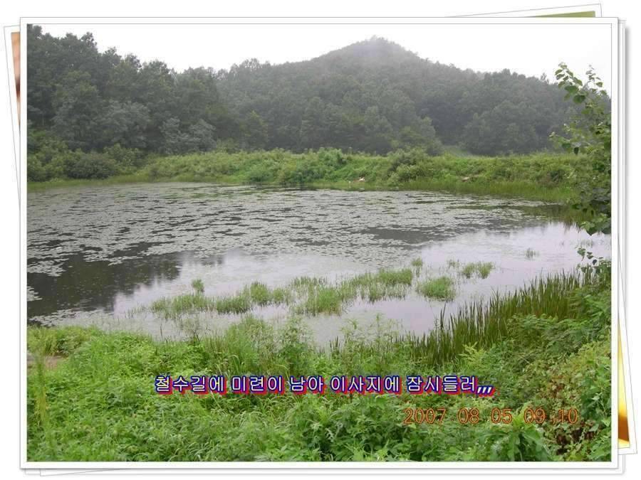 황금 붕어를 만나다 옥천 ☞ 예천 (조황조행기 - 화보조행기)