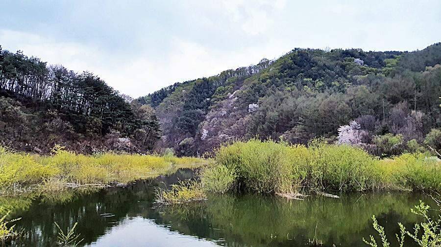 경북상주권 (조황조행기 - 화보조행기)