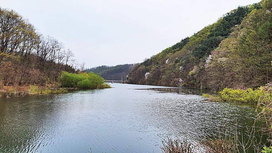 경북상주권 (조황조행기 - 화보조행기)